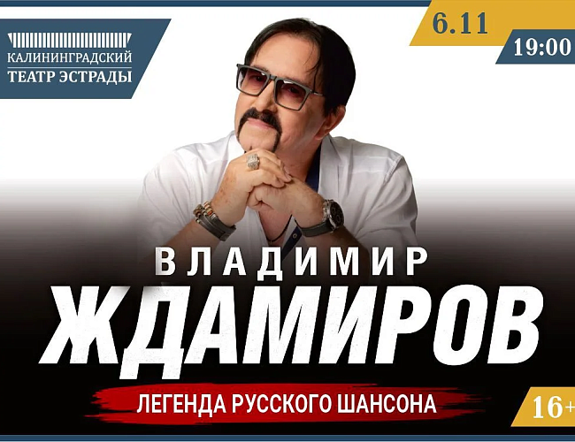 Концерт Владимира Ждамирова