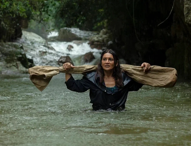 Фестиваль бразильского кино