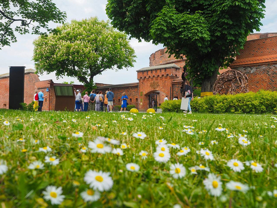 Режим работы музеев и туристских информационных центров Калининградской области на майские праздники 2026