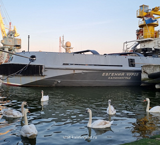 Янтарная комната. Поиски продолжаются…: п. Янтарный и г. Балтийск