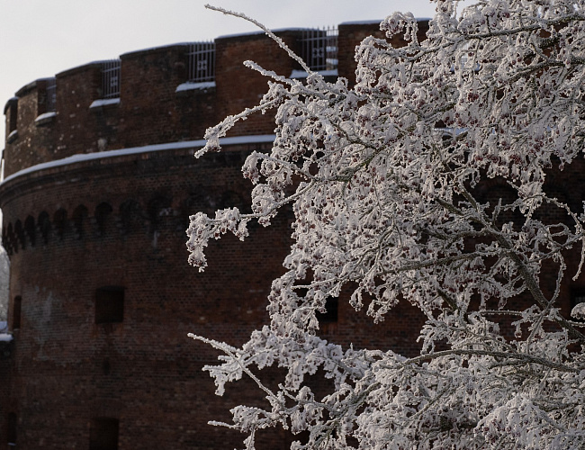 Эффективная коммуникация: аргументация и методы убеждения
