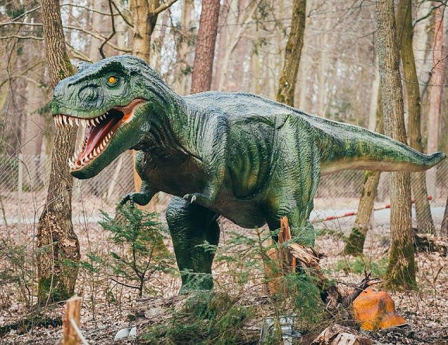 Парк Янтарного периода