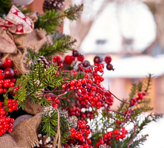 Чума, кошачьи головы под ногами, ведьмы