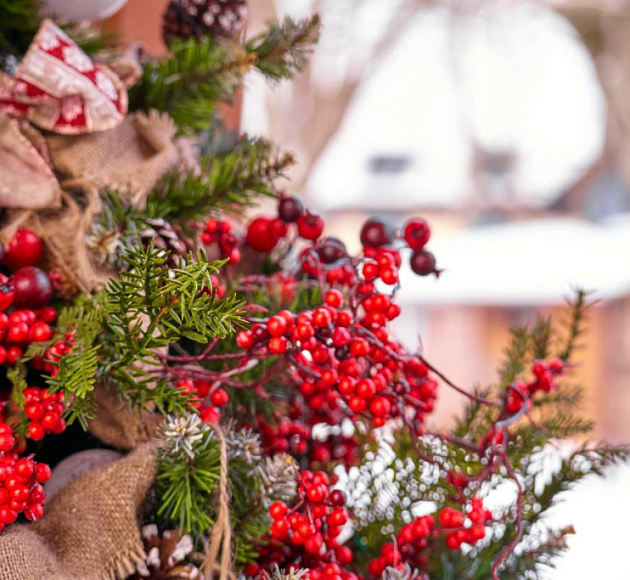 Чума, кошачьи головы под ногами, ведьмы