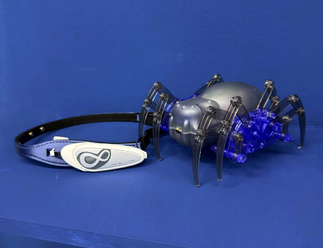 Музей "Тайна мозга"