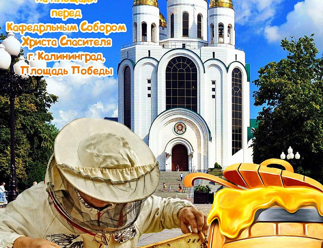Ярмарка мёда