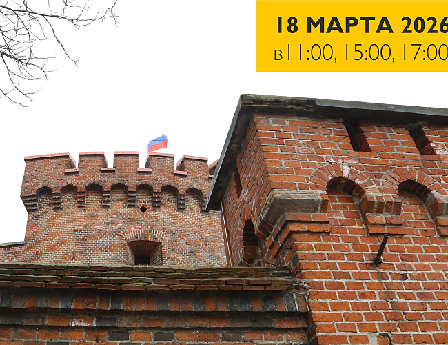 Экскурсии на смотровую площадку башни «Дона» в честь воссоединения Крыма с Россией