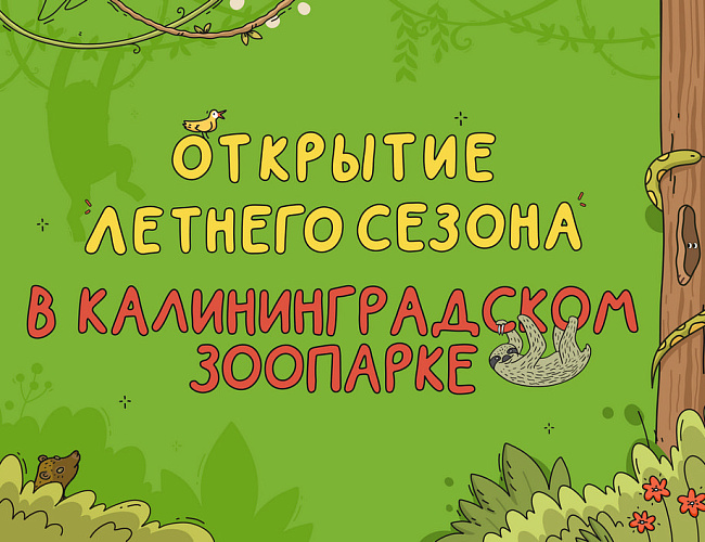 Открытие летнего сезона в Калининградском зоопарке