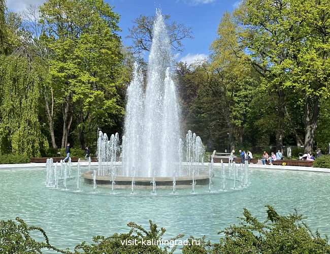 Калининградский зоопарк