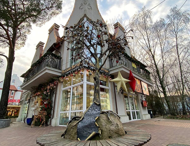 Янтарное побережье: Светлогорск и Янтарный