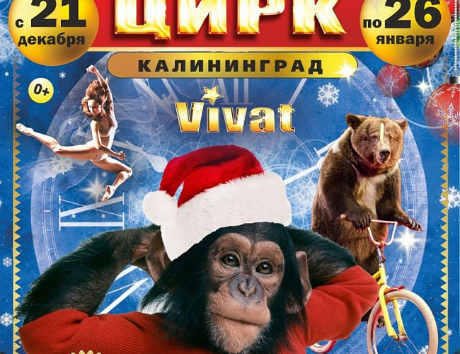 Наш Добрый Цирк
