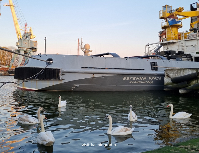 Янтарная комната. Поиски продолжаются…: п. Янтарный и г. Балтийск