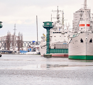 «Морские сокровища». Квест-экскурсия