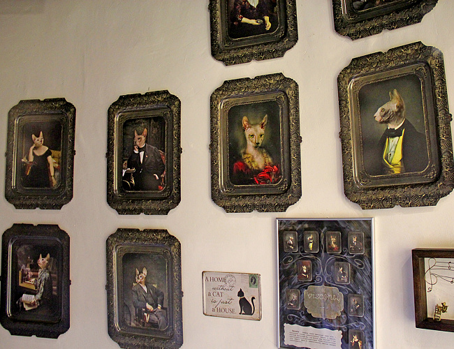 Музей кошек «Мурариум»