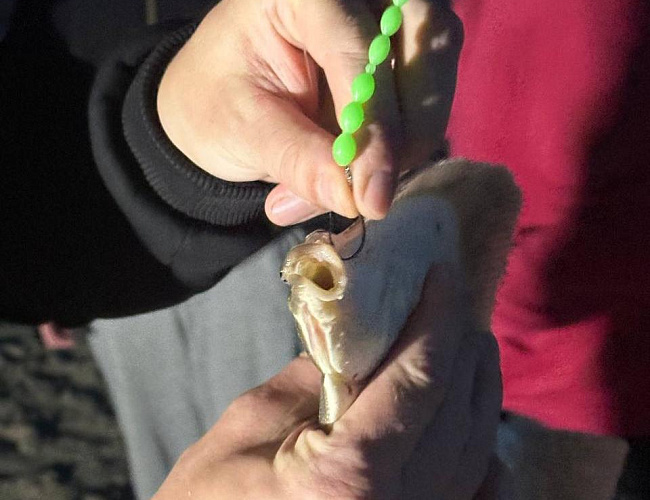 Морская рыбалка с «КамбалаТур»