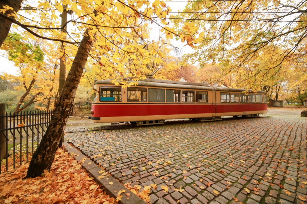 Трамвай Осень.jpg