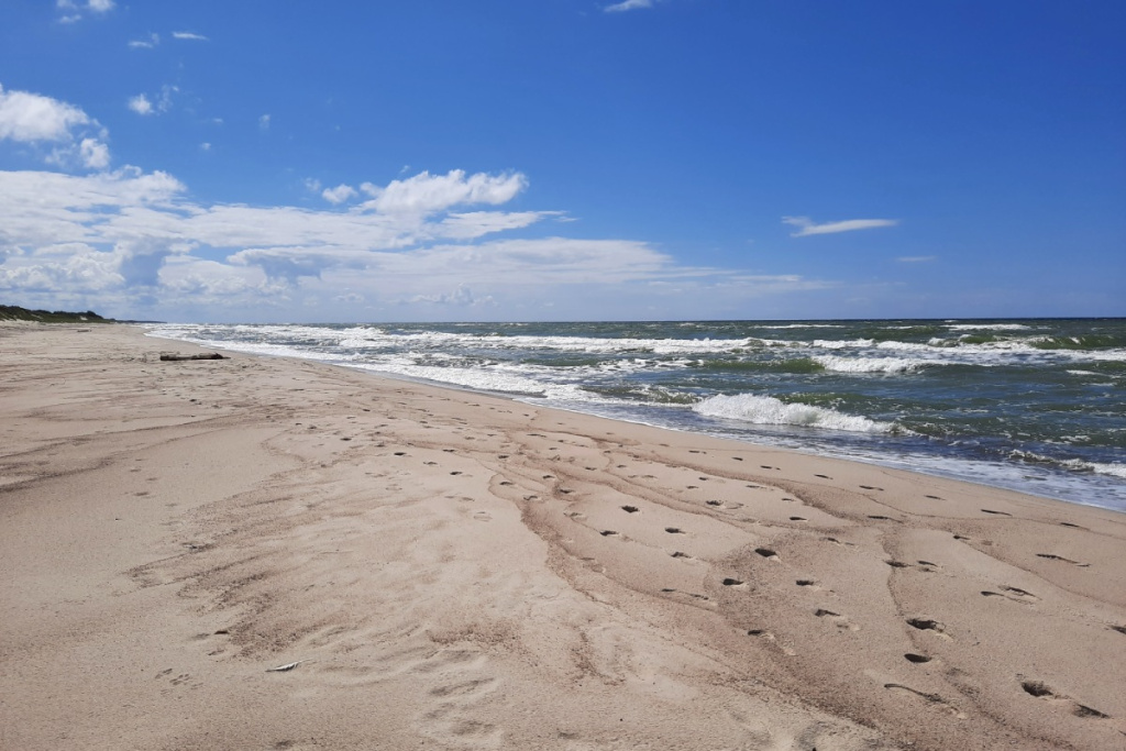 Песчаный пляж Куршской косы.visit-kaliningrad.ru Песчаный пляж Куршской косы.visit-kaliningrad.ru